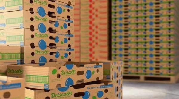 Carton box