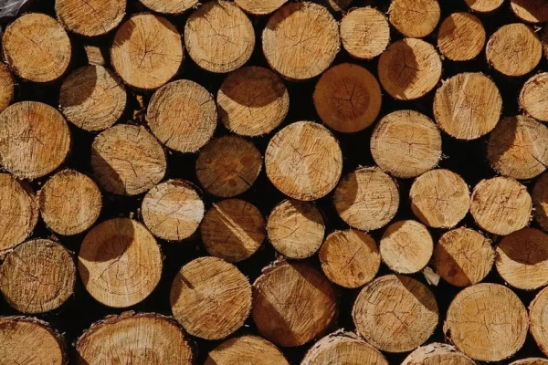 Sawn timber