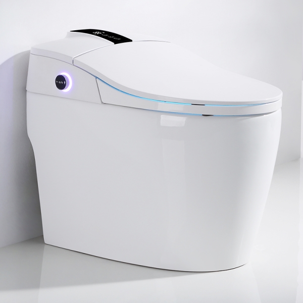 Electronic toilet JB-899