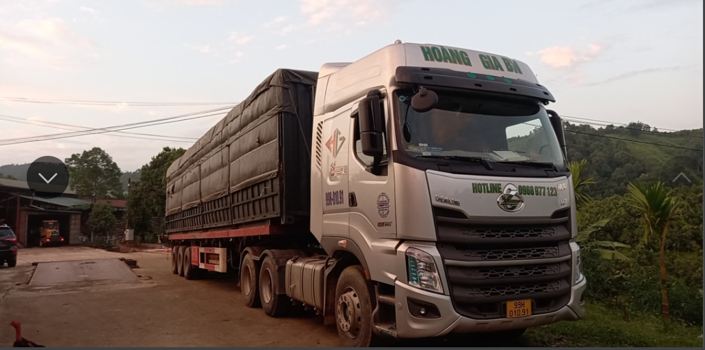 Cargo transport by road