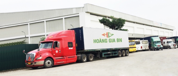 Domestic cargo transport - container