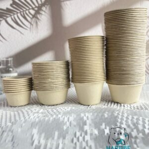 Bagasse cups