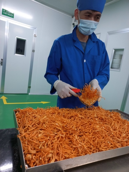Harvesting process