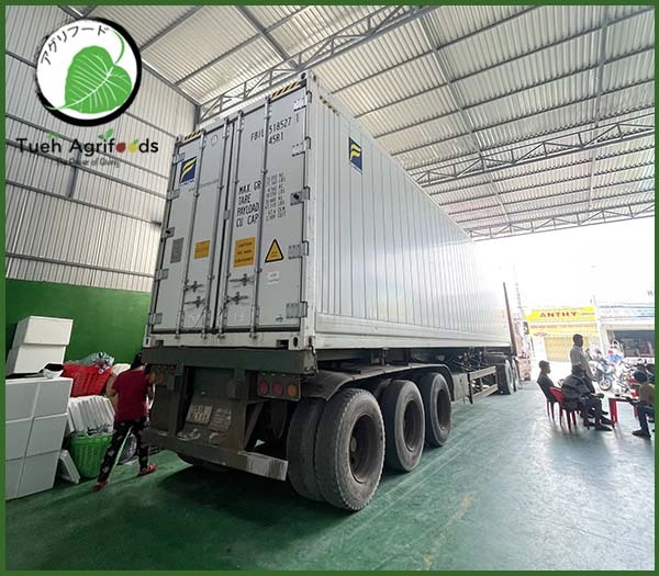 Pomelo exporting