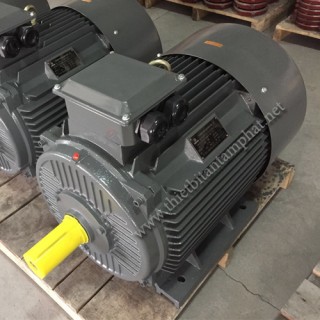DongChun Y2 electric motor