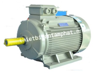 YE3 electric motor
