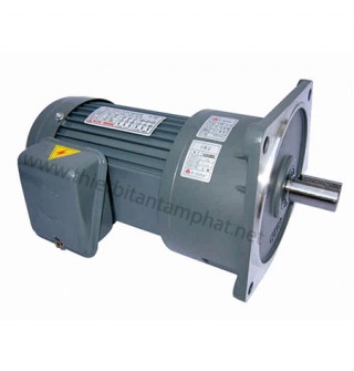 TongRun gear motor