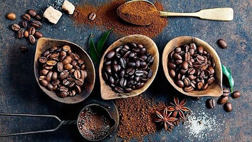 Robusta green coffee bean