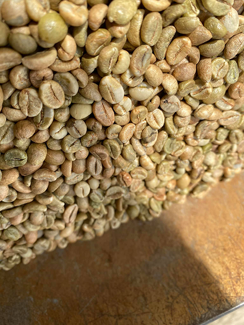Robusta green coffee bean