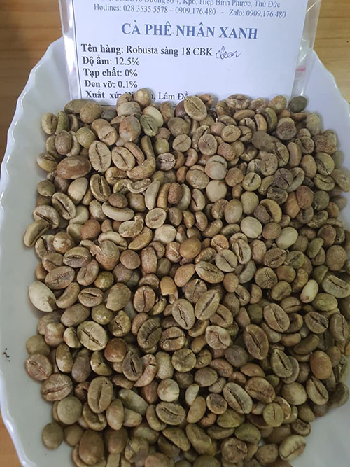 Robusta green coffee bean