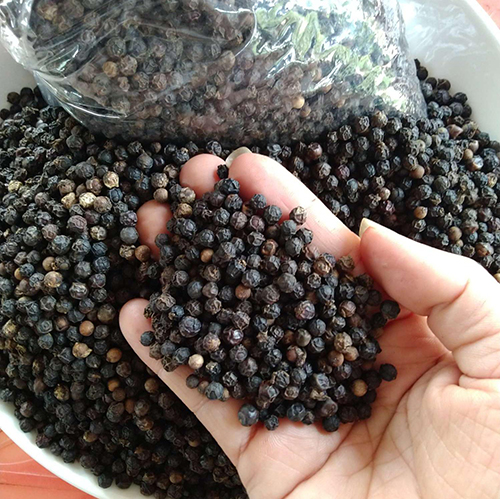 Black pepper