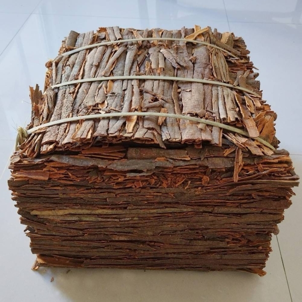 Cinnamon
