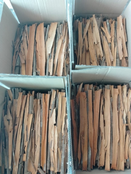 Cinnamon