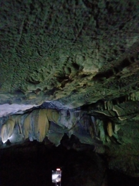Tam Coc Bich Dong
