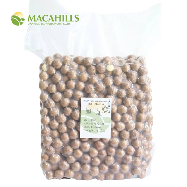 Export-grade macadamia nuts, size 22-24mm, 10kg per carton
