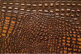 Crocodile leather