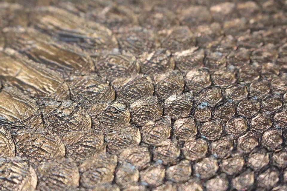 Python leather