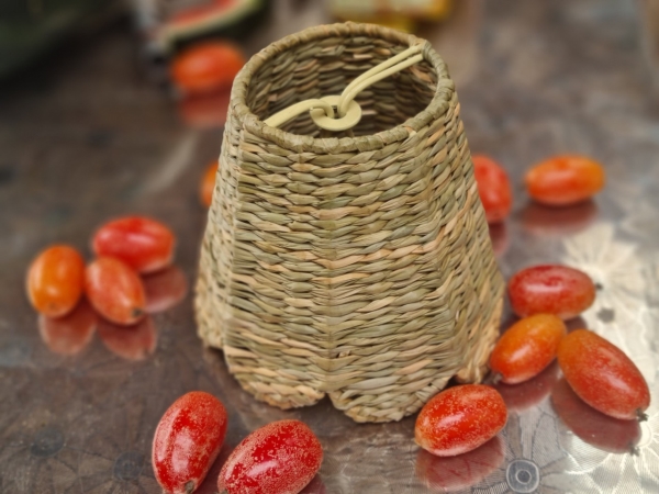 Decorative lampshade