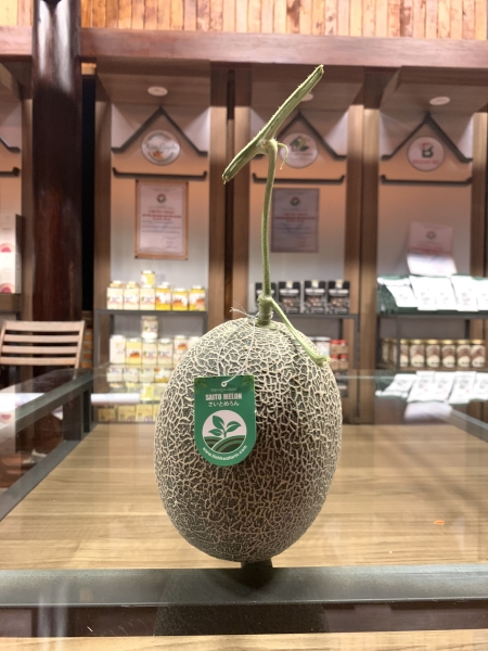 Melon - Saito