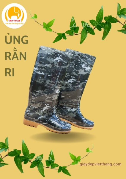 Shoes & sandals - Viet Thang