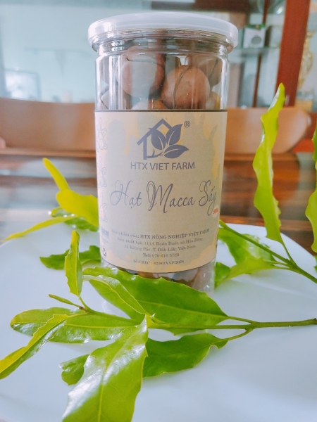 Macadamia nuts - HTX Viet Farm