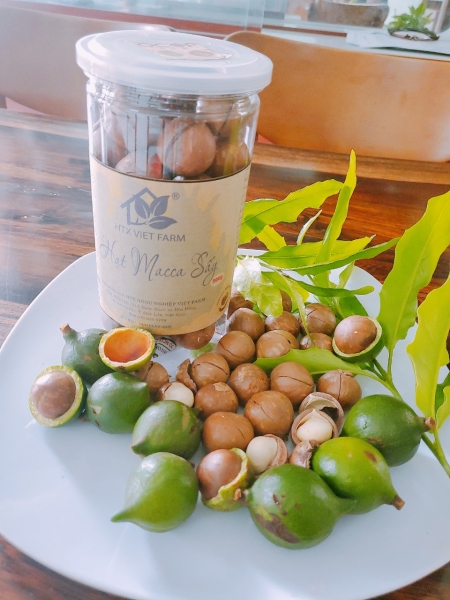 Macadamia nuts - HTX Viet Farm