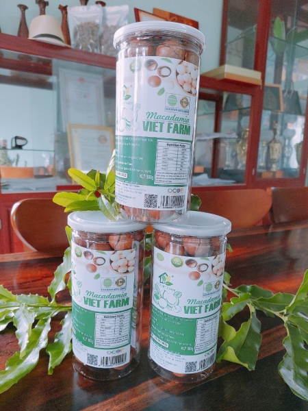Macadamia nuts - HTX Viet Farm
