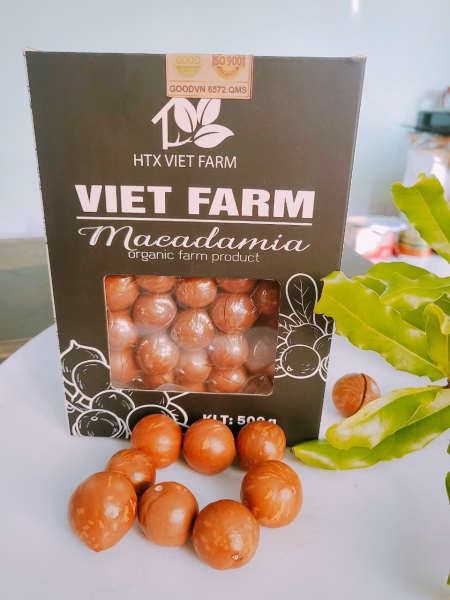 Macadamia nuts - HTX Viet Farm
