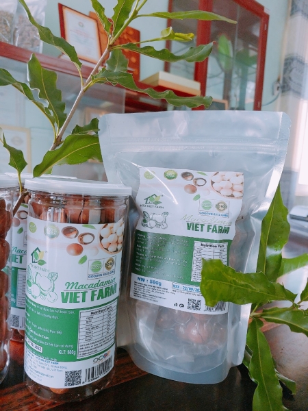Macadamia nuts - HTX Viet Farm