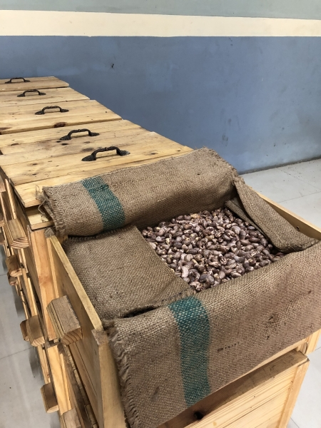 Cashew nuts - An Thinh Phat