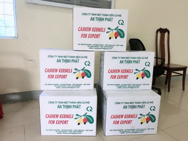 Cashew nuts - An Thinh Phat