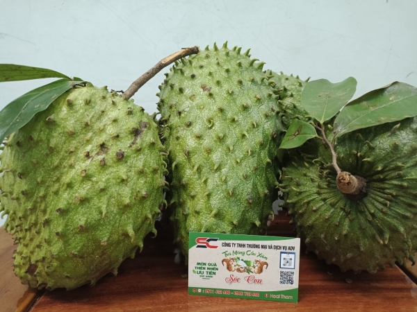 Soursop tea - ADV