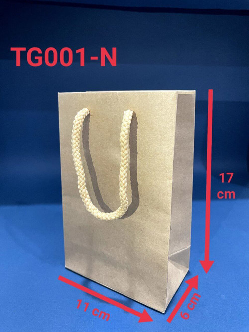 Paper bag TG001-N