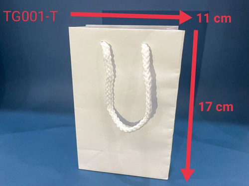 Paper bag TG001-T