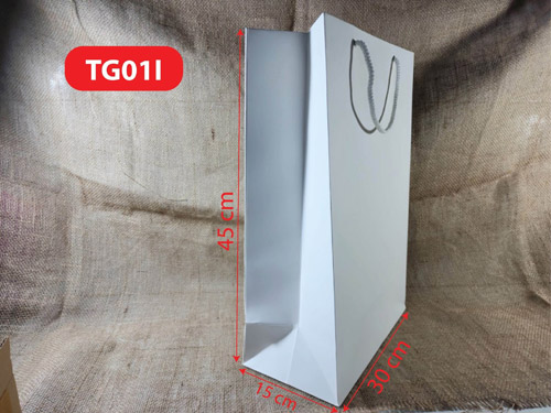 Paper bag TG01I