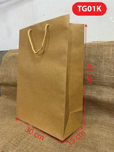 Paper bag TG01K
