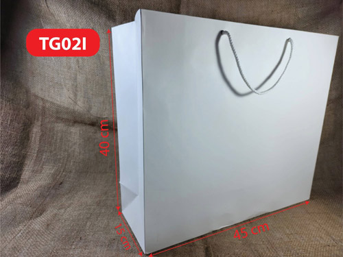 Paper bag TG02I