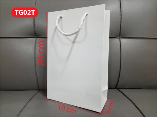 Paper bag TG02T