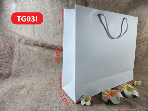 Paper bag TG03I