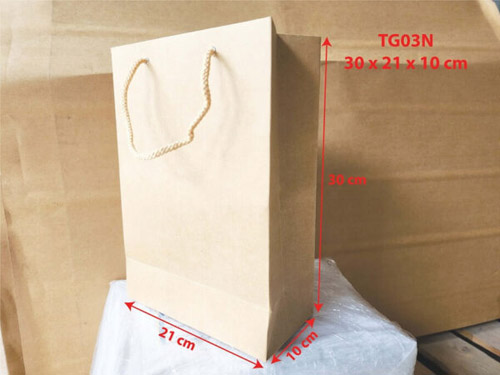 Paper bag TG03N