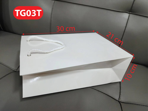 Paper bag TG03T