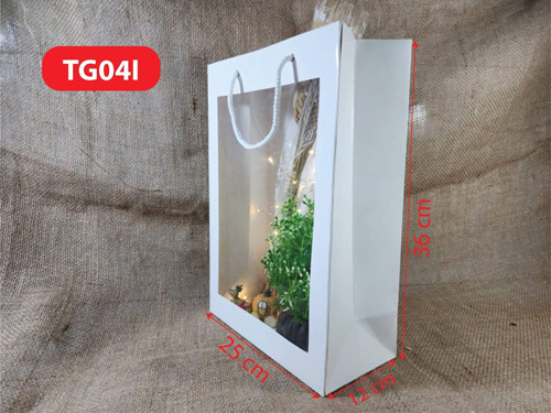 Paper bag TG04I