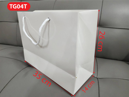 Paper bag TG04T