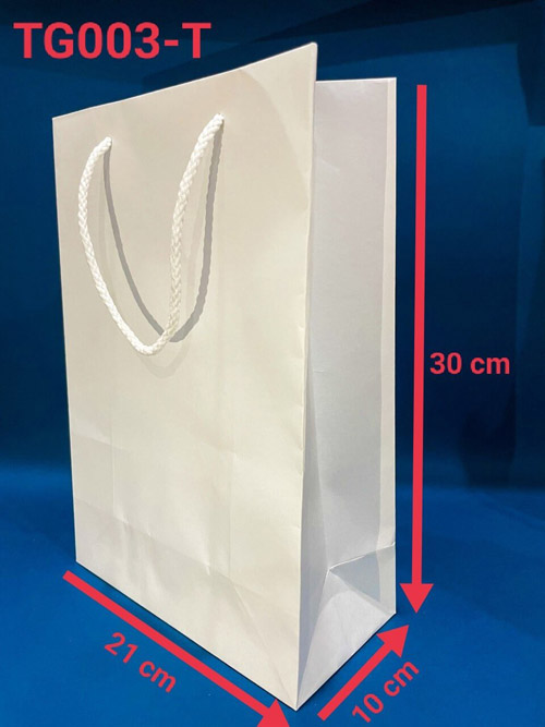 Paper bag TG003-T