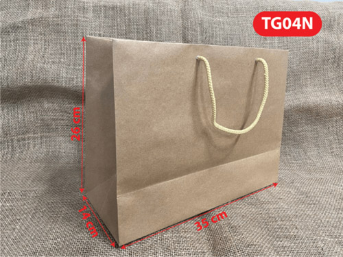 Paper bag TG04N