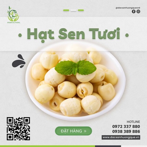 Fresh lotus seed