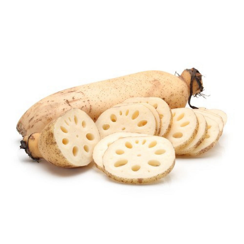Fresh lotus root
