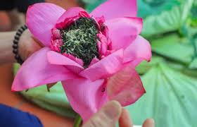 Lotus tea
