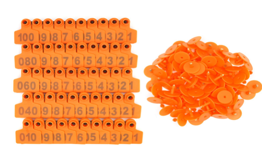 Cattle ear tags