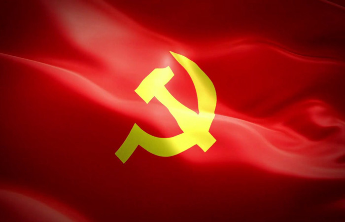 Party flag